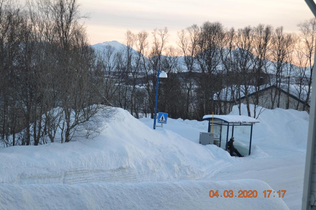 A Nice And Quiet Place Near To Trosmo City Tromsø Exterior foto