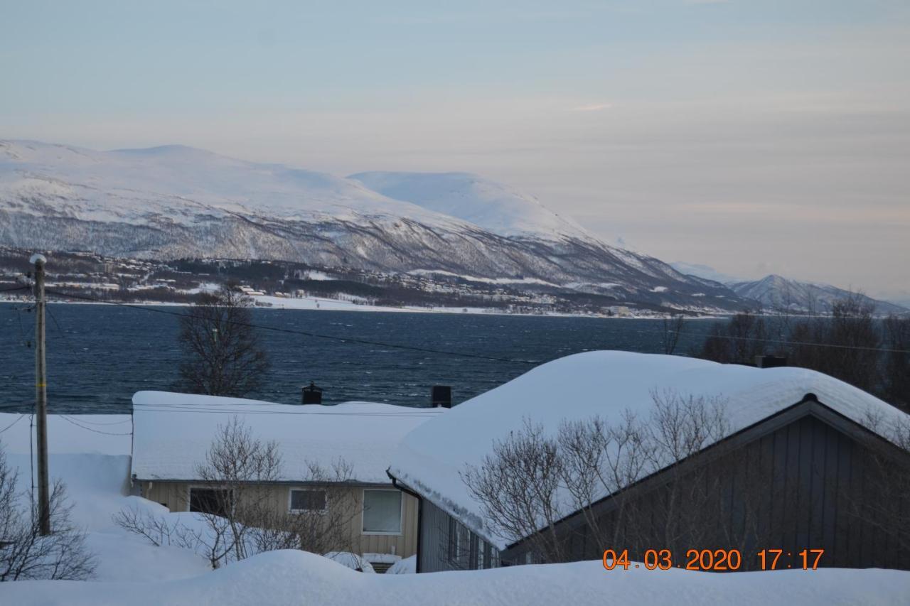A Nice And Quiet Place Near To Trosmo City Tromsø Exterior foto