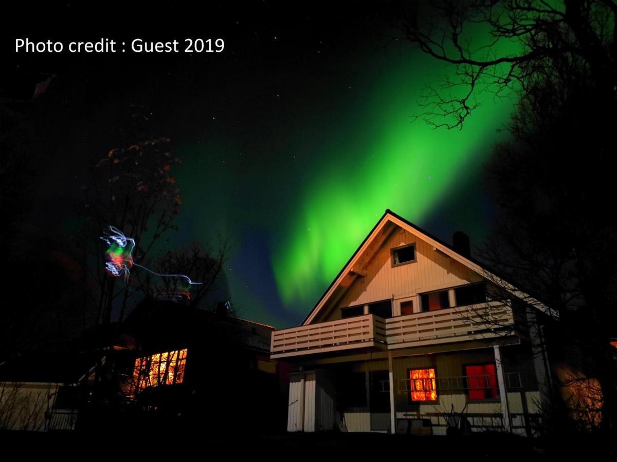 A Nice And Quiet Place Near To Trosmo City Tromsø Exterior foto
